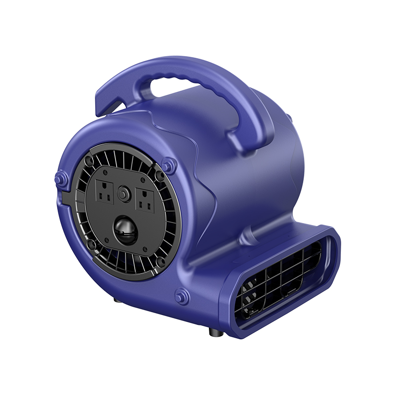 AM-A05 Magaang Compact Carpet Dryer